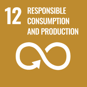 Responsible Consumption and Productions
